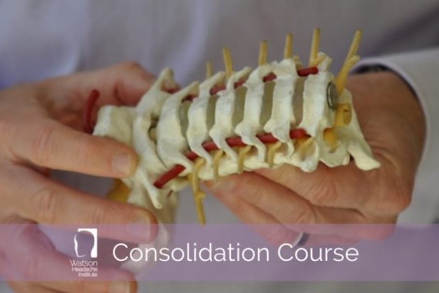 Consolidation Online Course